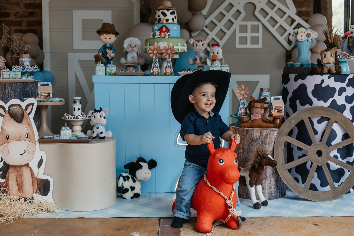 Aniversário Infantil | João Manoel - 2 anos | Vinhedo - SP