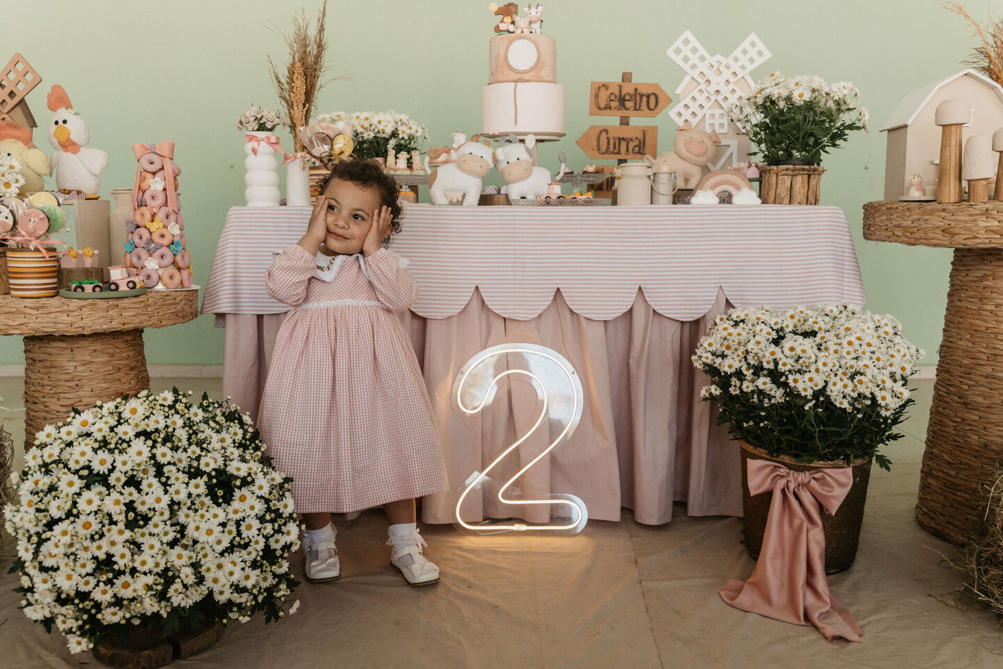 Aniversário Infantil | Melissa - 2 anos | Amparo, SP